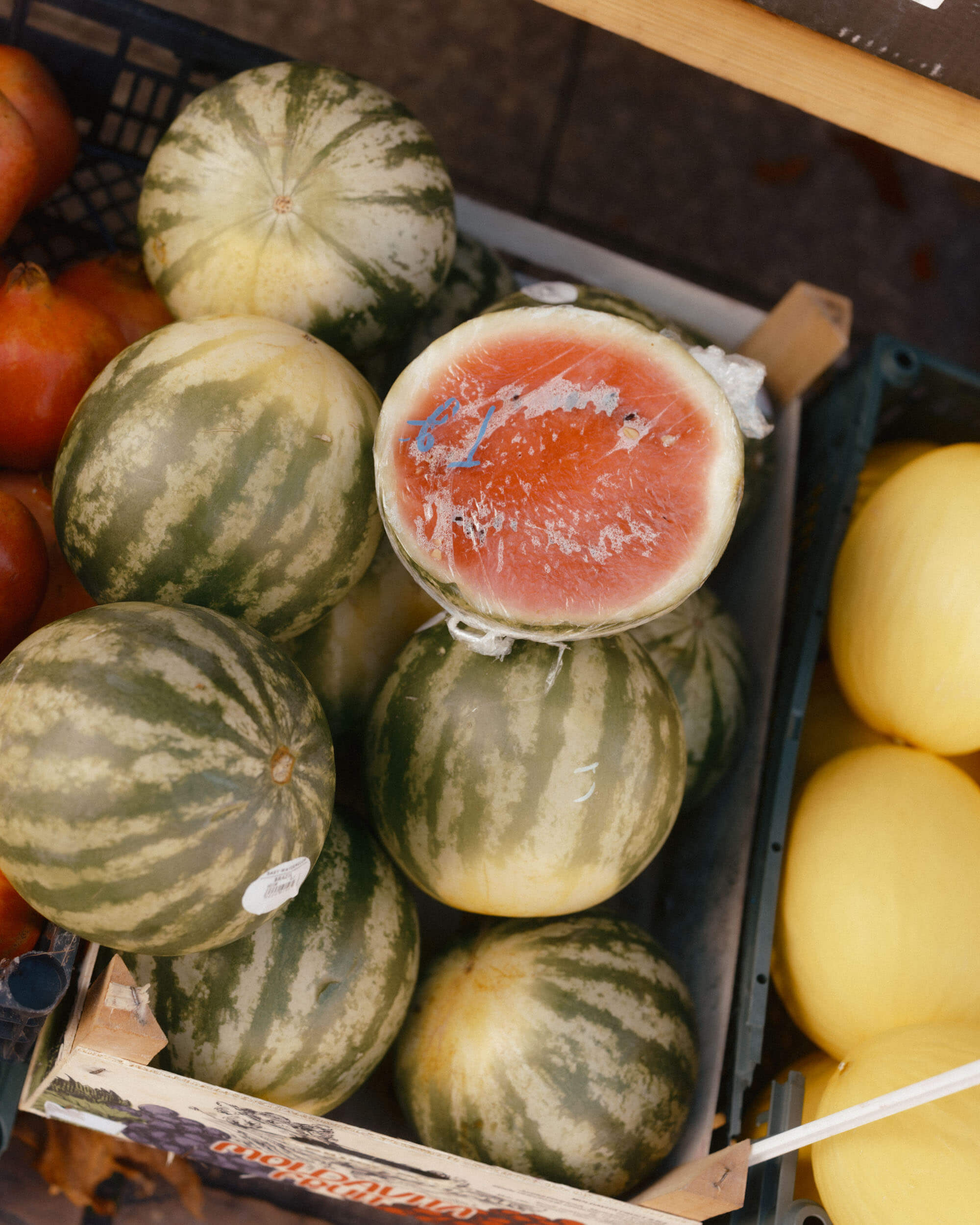 Watermelon