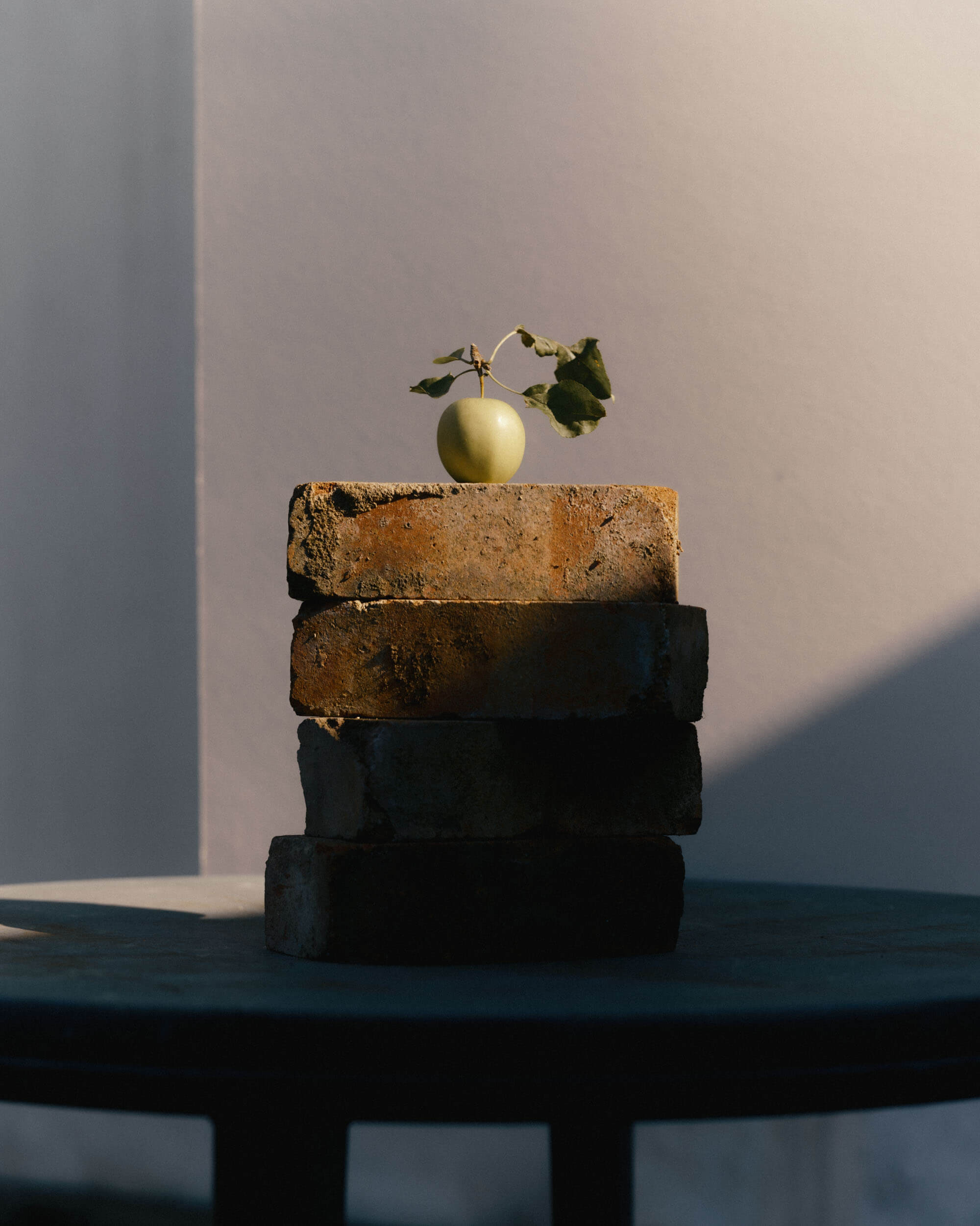 Still life of an apple in the garden
